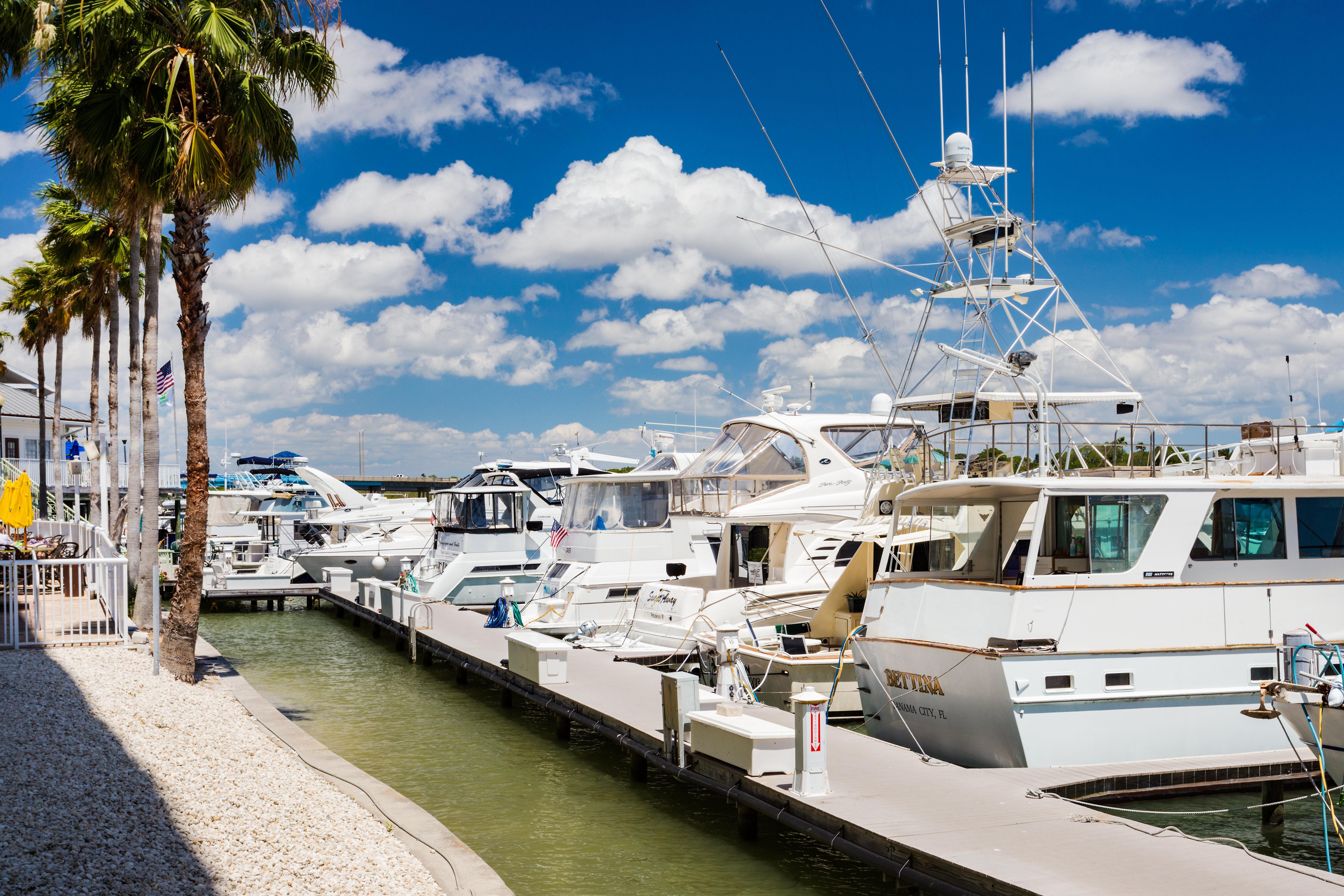 Holiday Inn & Suites Clearwater Beach S-Harbourside Exteriör bild