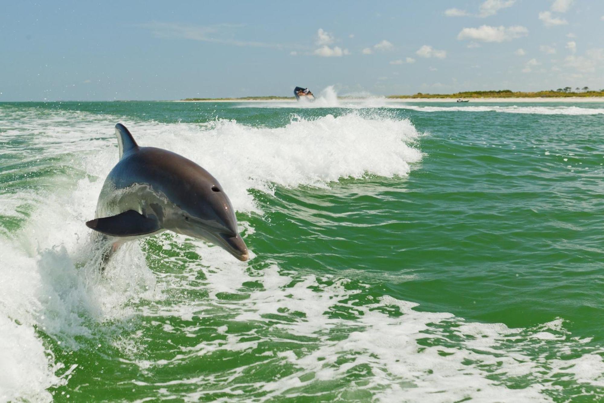 Holiday Inn & Suites Clearwater Beach S-Harbourside Exteriör bild
